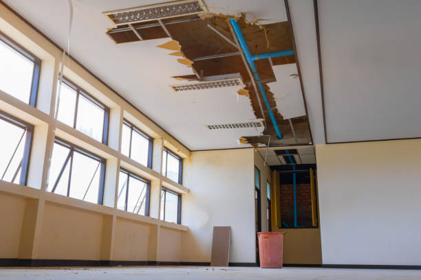 Best Fire Damage Restoration  in Niverville, NY