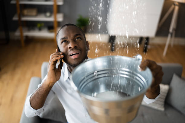 Water damage restoration experts in NY