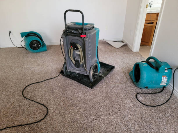 Best Water damage restoration experts  in Niverville, NY