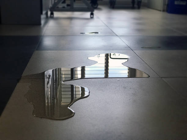 Best Water damage restoration near me  in Niverville, NY