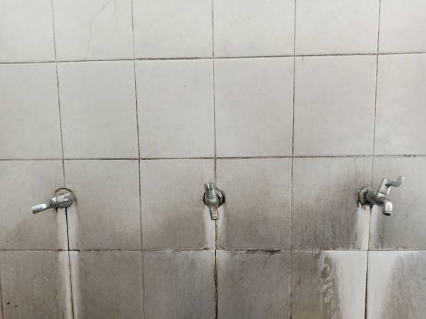 Best Water damage cleanup near me  in Niverville, NY