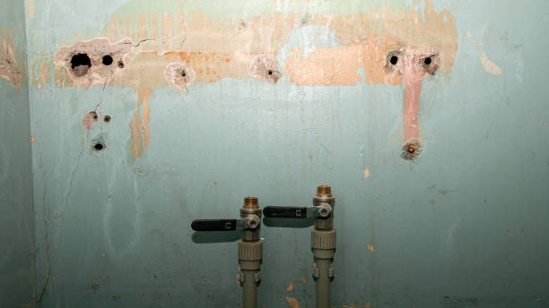 Best Flood damage cleanup  in Niverville, NY