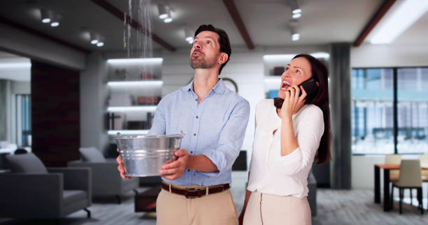 Best 24/7 water damage repair  in Niverville, NY