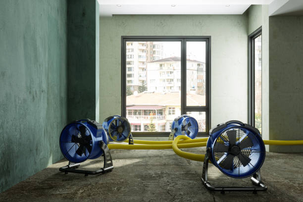 Best 24-hour water damage restoration  in Niverville, NY